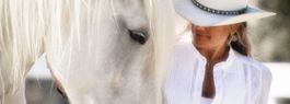 LA Webb | Horse Oil Paintings Leslie Anne Web