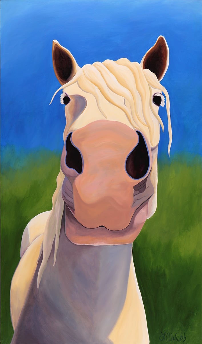 Close-up of a horse looking at you