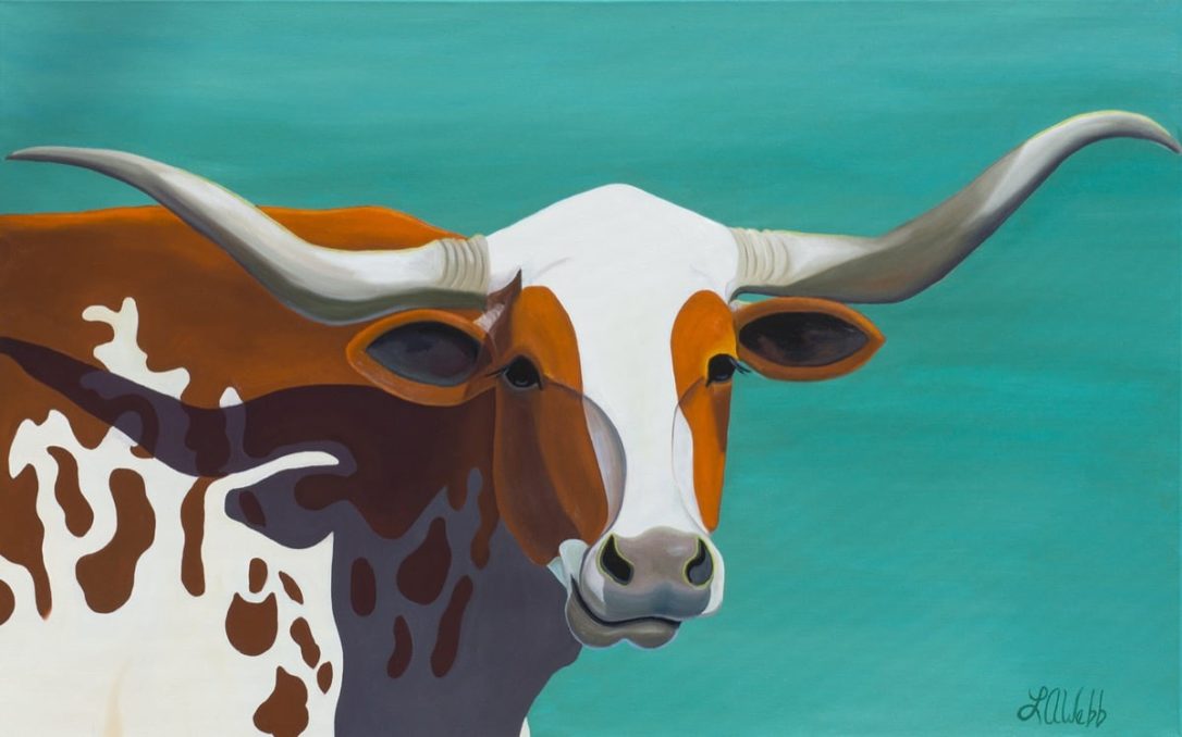 A longhorn cattle named Henry