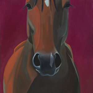 Head and body of a horse, looking at you