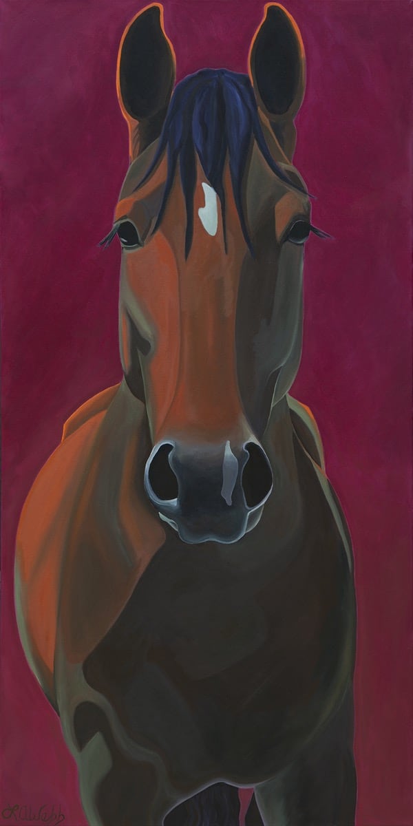 Head and body of a horse, looking at you