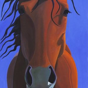 Front of a horse, looking at you.