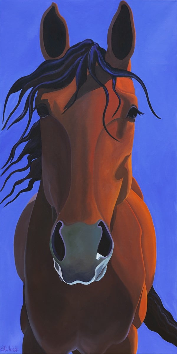 Front of a horse, looking at you.