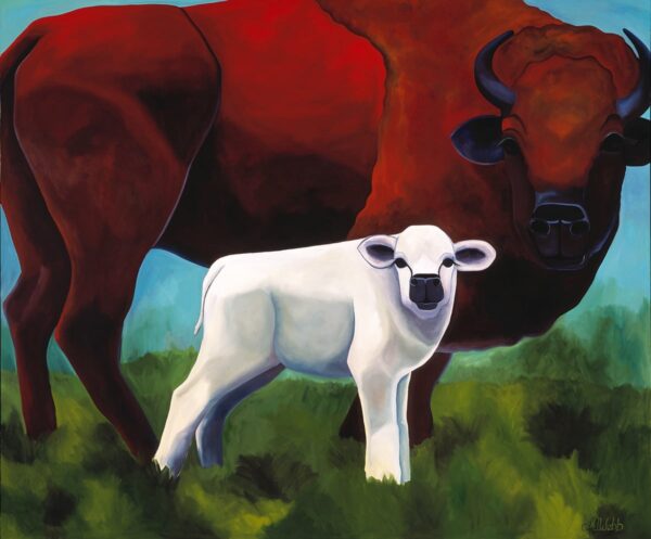 White buffalo calf with mother.