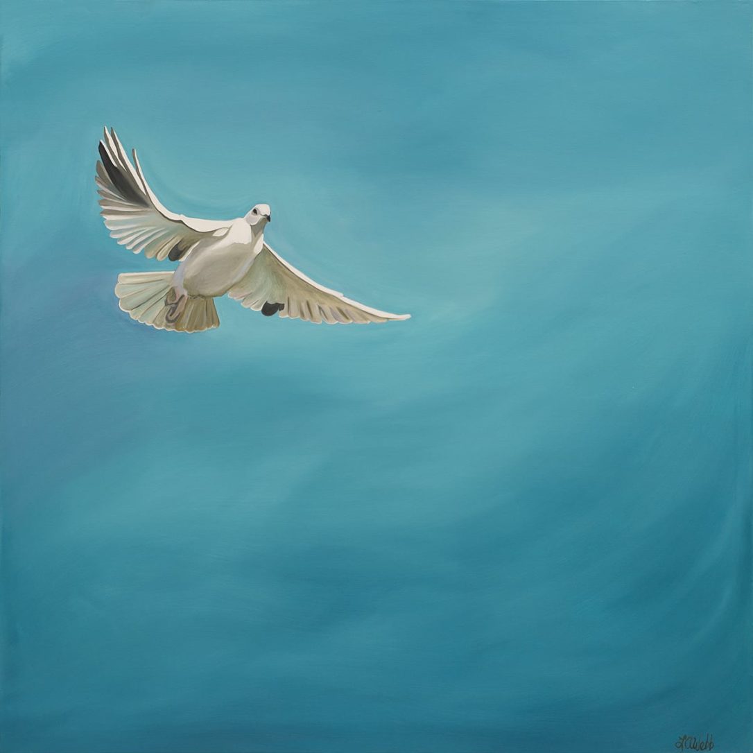 A dove flying through the air.