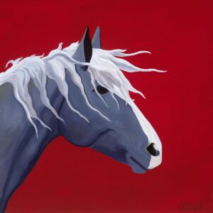 A gray horse
