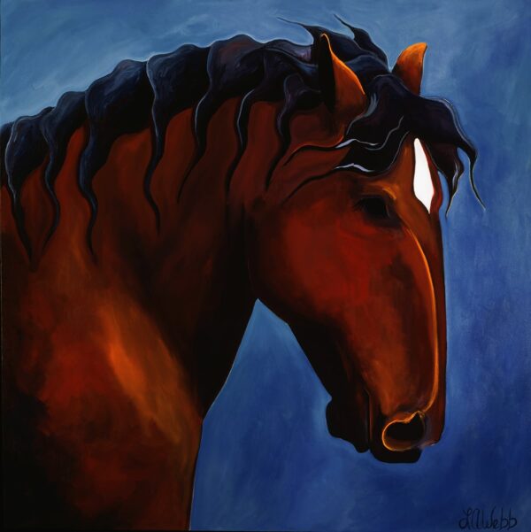 The side of a horse's head