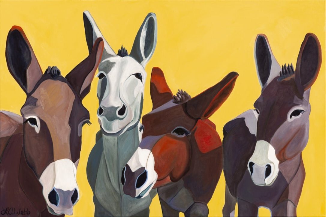 Four donkeys standing together.