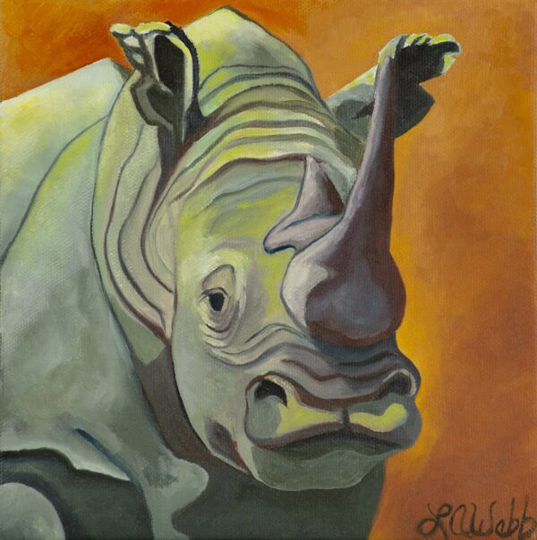 Scout, a rhinocerous from Africa